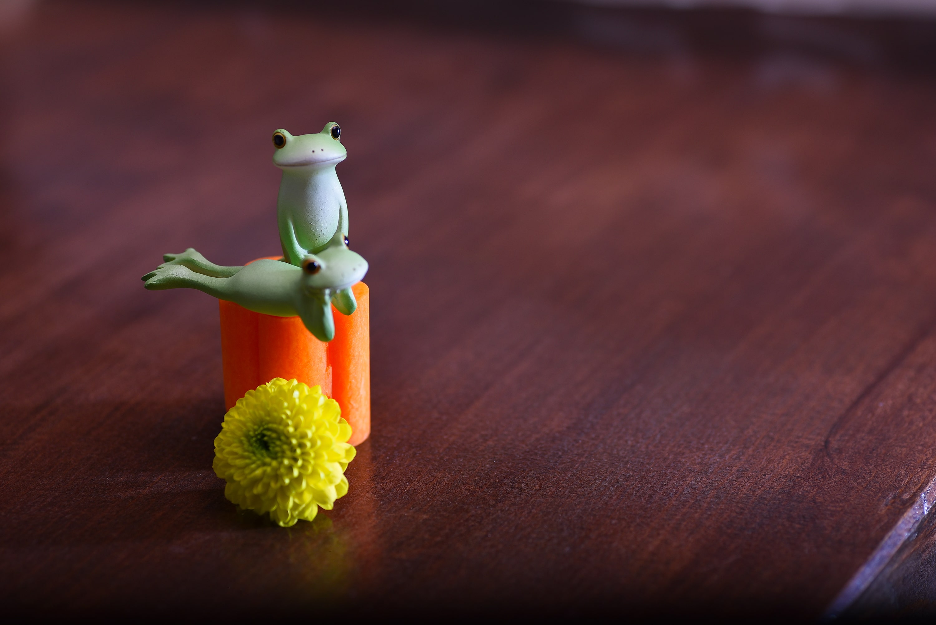 羅心のお品書き